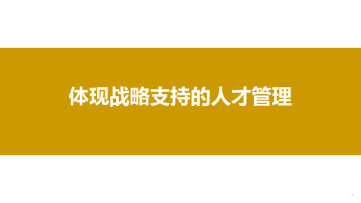 017 体现战略支持的人才盘点案例(含京东)