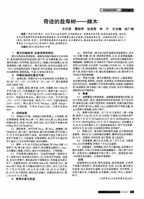 奇迹的益寿树——辣木