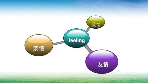 亲情爱情友情(超完美珍藏版)  Feeling  PPT