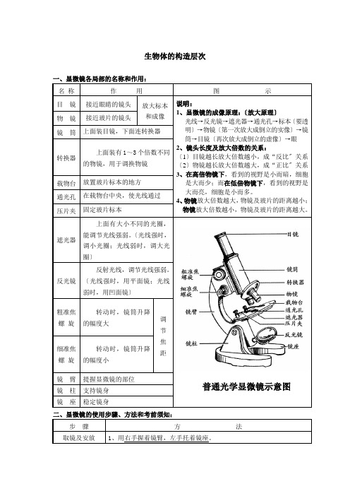 生物体的结构层次复习资料