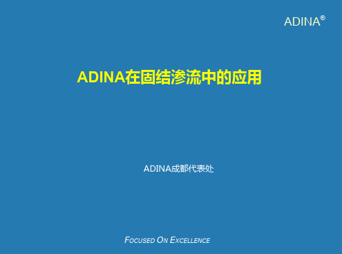 ADINA固结渗流处理方法及案例