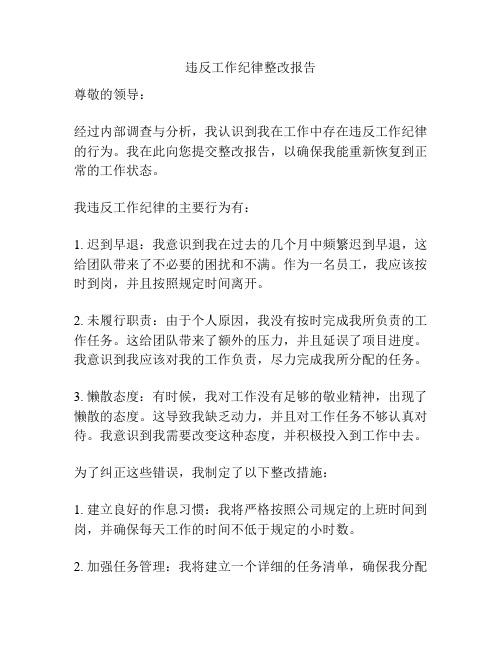 违反工作纪律整改报告