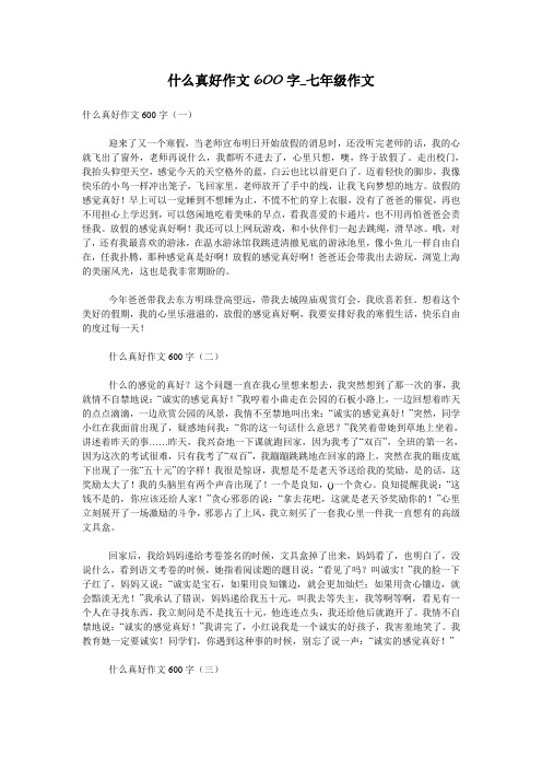 什么真好作文600字_七年级作文