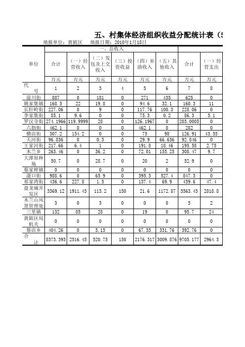 村集体经济组织收益分配统计表