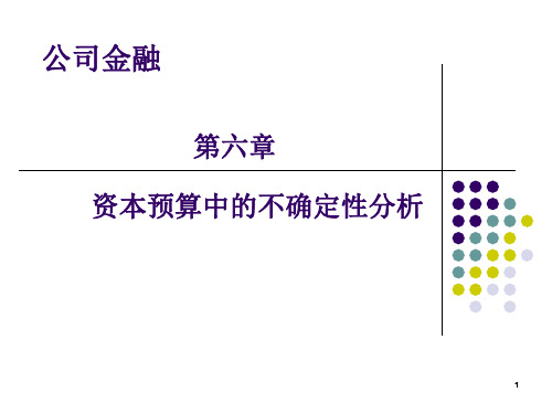 公司金融-第六章 资本预算中的不确定性分析