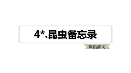 新版三年级下册习题- 4.昆虫备忘录 人教部编版(共11张PPT)