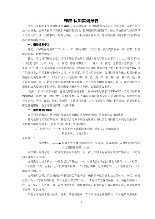 VBSE认知实训报告