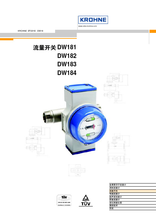 流量开关DW18