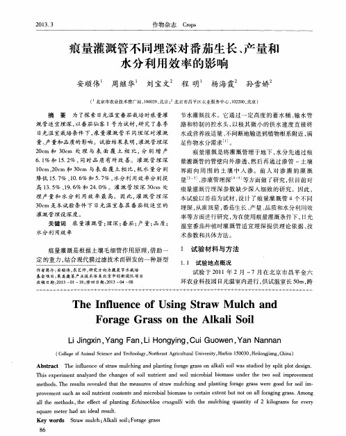 痕量灌溉管不同埋深对番茄生长、产量和水分利用效率的影响