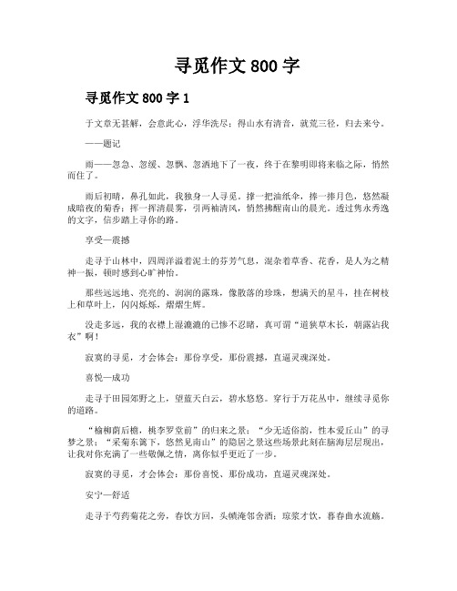 寻觅作文800字