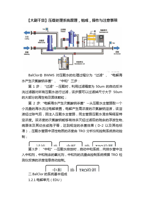 【大副干货】压载处理系统原理，组成，操作与注意事项