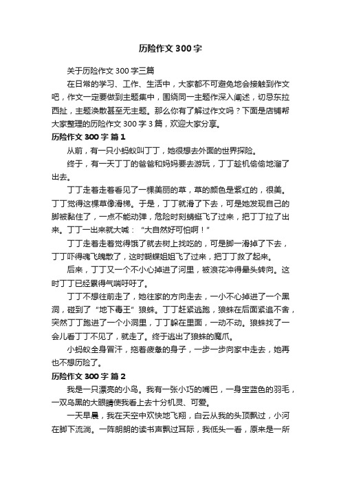 历险作文300字