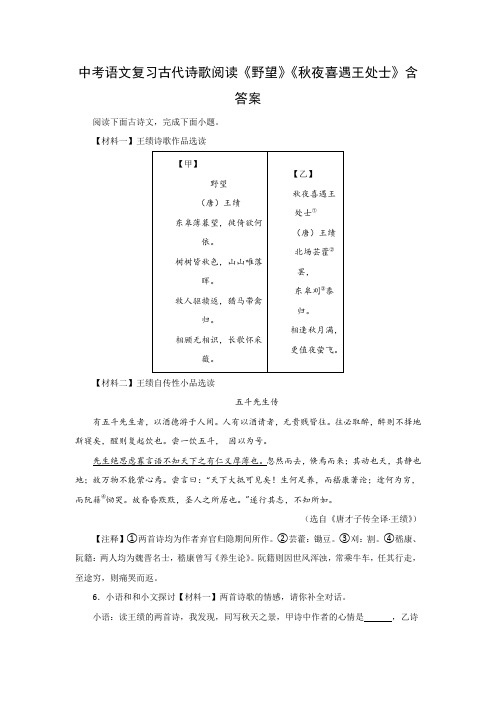 中考语文复习古代诗歌阅读《野望》《秋夜喜遇王处士》含答案