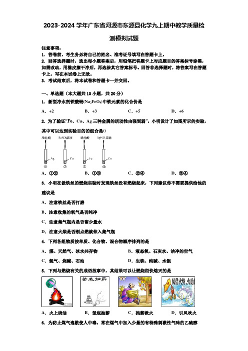 2023-2024学年广东省河源市东源县化学九上期中教学质量检测模拟试题含解析