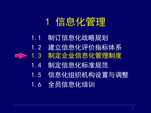 制定企业信息化管理制度与标准规范PPT课件