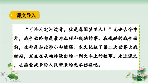 (部编版)小学语文六级上册《在柏林》PPT精美课件