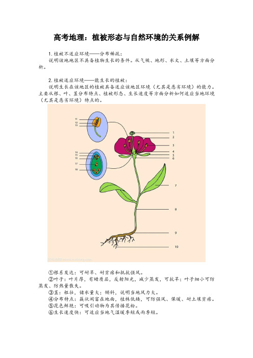 高考地理：植被形态与自然环境的关系例解