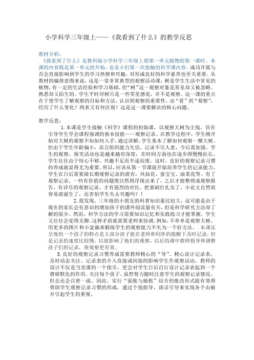 我看到什么教学反思