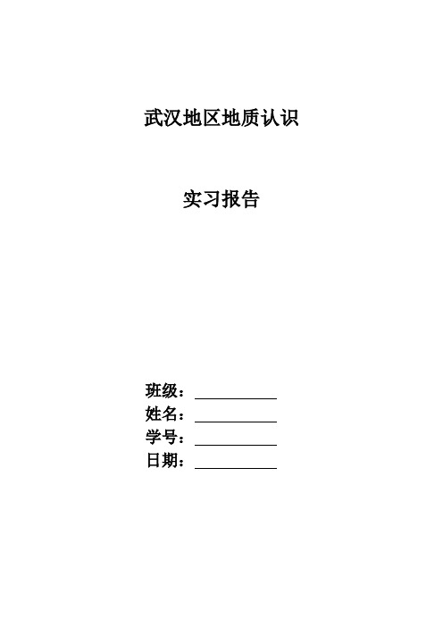 武汉地区地质认识实习报告