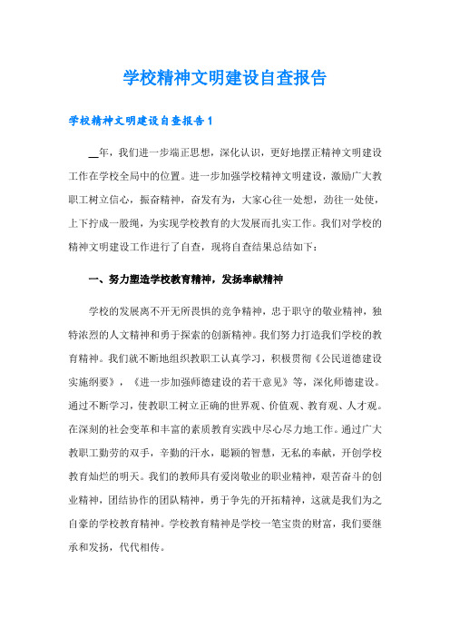 学校精神文明建设自查报告