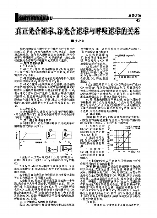 真正光合速率、净光合速率与呼吸速率的关系