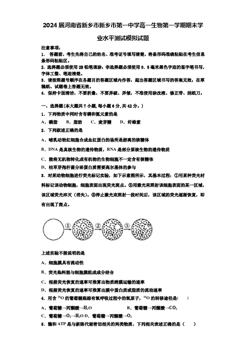 2024届河南省新乡市新乡市第一中学高一生物第一学期期末学业水平测试模拟试题含解析