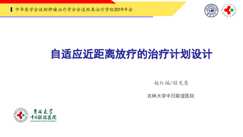 自适应近距离放疗的治疗计划设计-赵红福