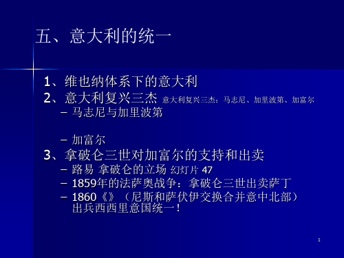 北京大学国际关系史第五讲 ppt课件