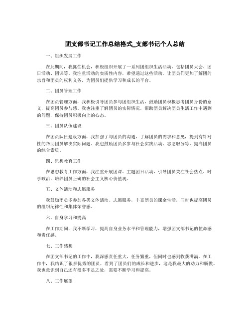 团支部书记工作总结格式_支部书记个人总结