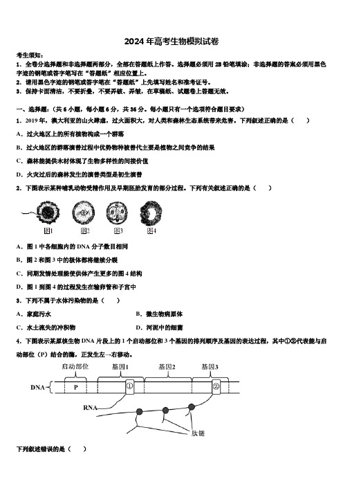 大连育明高级中学2023-2024学年高三第二次模拟考试生物试卷含解析