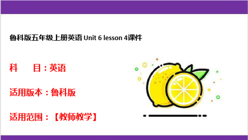 鲁科版五年级上册英语 Unit 6 lesson 4课件