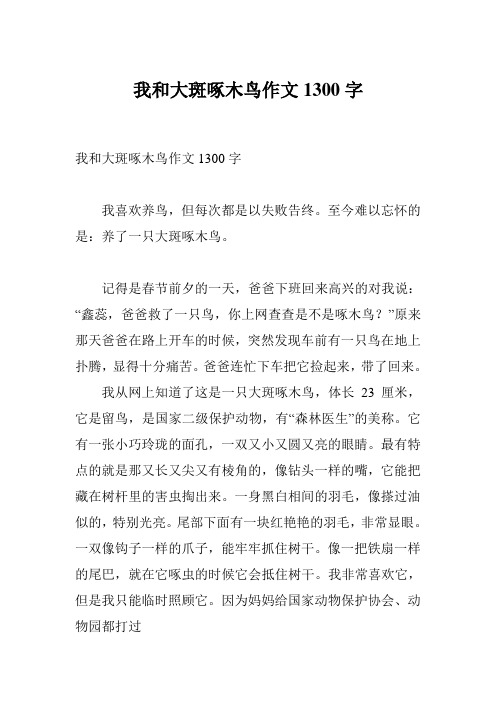 我和大斑啄木鸟作文1300字