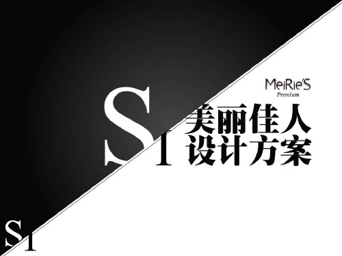 MeiRie9S美丽佳人品牌设计方案