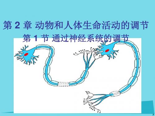 伊通满族自治高中生物第二章动物和人体生命活动的调节2.1通过神经系统的调节课件新人教版必修