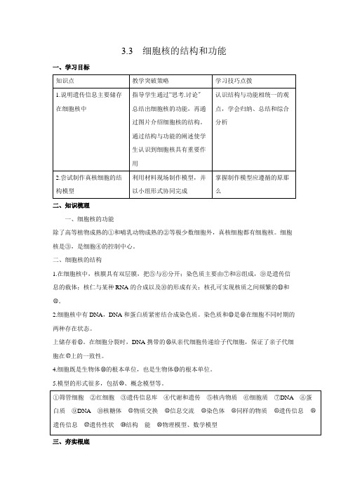 高中生物新人教版必修1 3.3 细胞核的结构和功能  精品学案