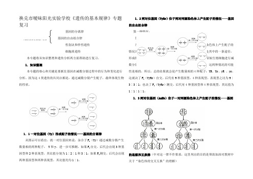 高三生物遗传的基本规律专题复习