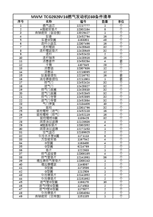 曼海姆(MWM)TCG2020V16 E60备件清单