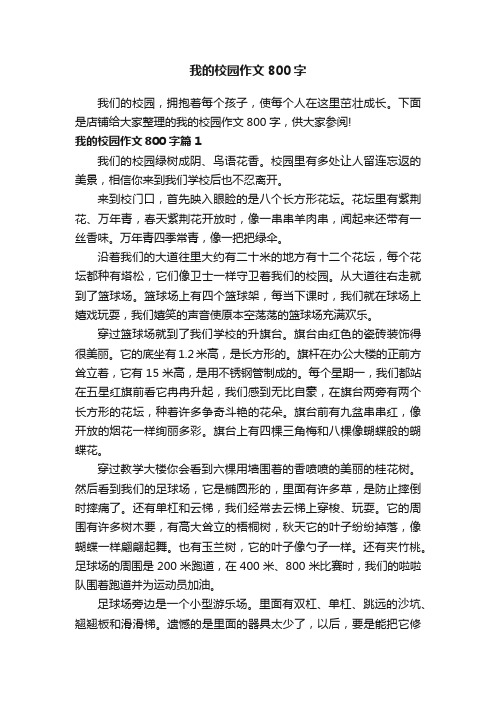 我的校园作文800字