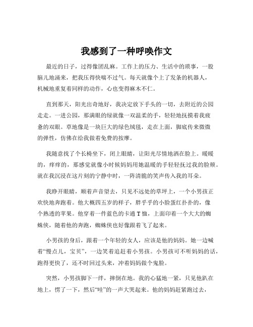 我感到了一种呼唤作文