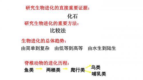 人教版八下3.3生物进化的原因课件(共26张PPT)