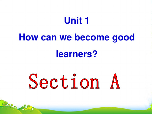 人教初中英语课标九年级全一册第1单元Section A 3a—3b(共23张PPT)