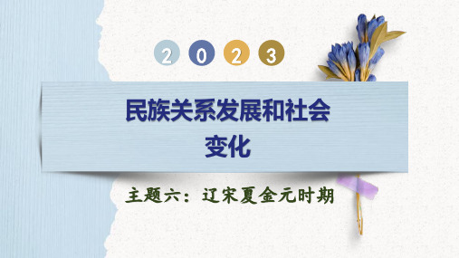 辽宋夏金元时期：民族关系发展和社会变化-2023年中考历史一轮复习讲练测(部编版)