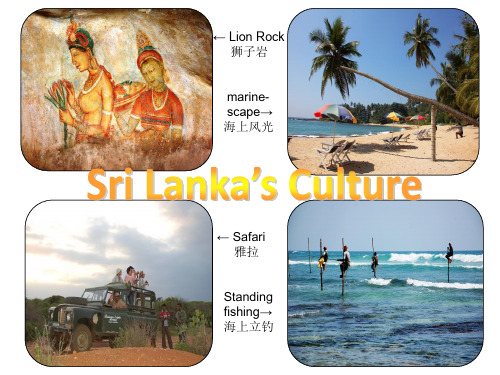 sri lanka culture 斯里兰卡英语介绍