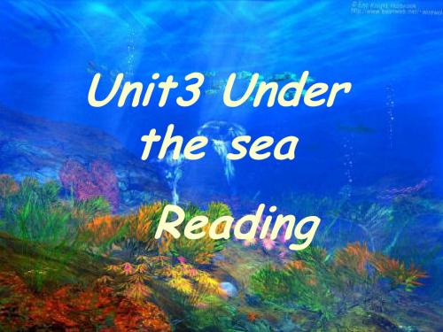 高二选修7-Unit-3-Under-the-sea-Old-Tom-the-killer-whale[阅读课件]