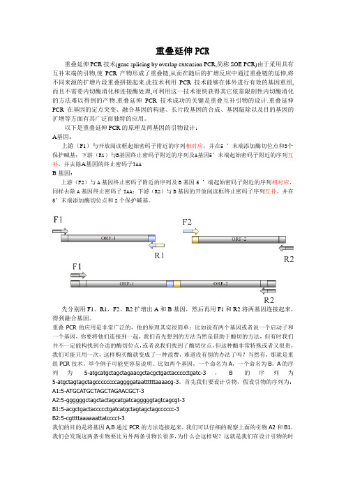 重叠延伸PCR