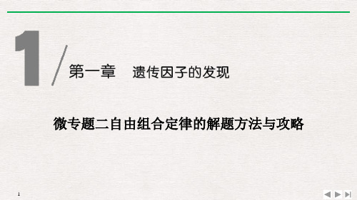 《微专题二 自由组合定律的解题方法与攻略》遗传因子的发现-人教版高中生物必修二PPT课件