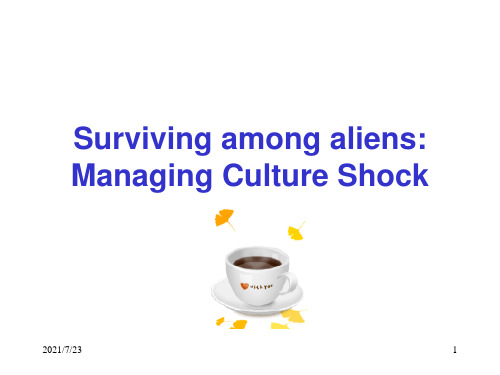 cultureshock跨文化交际PPT课件