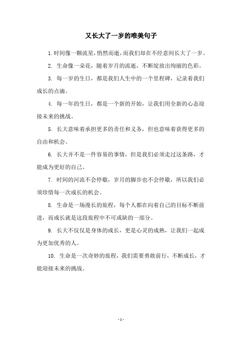 又长大了一岁的唯美句子