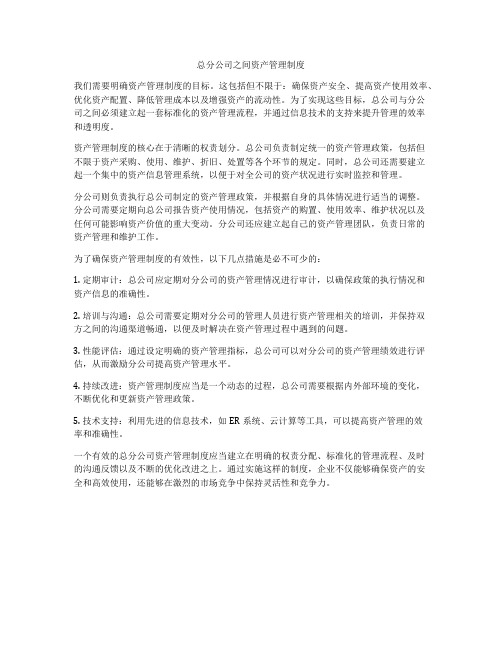 总分公司之间资产管理制度