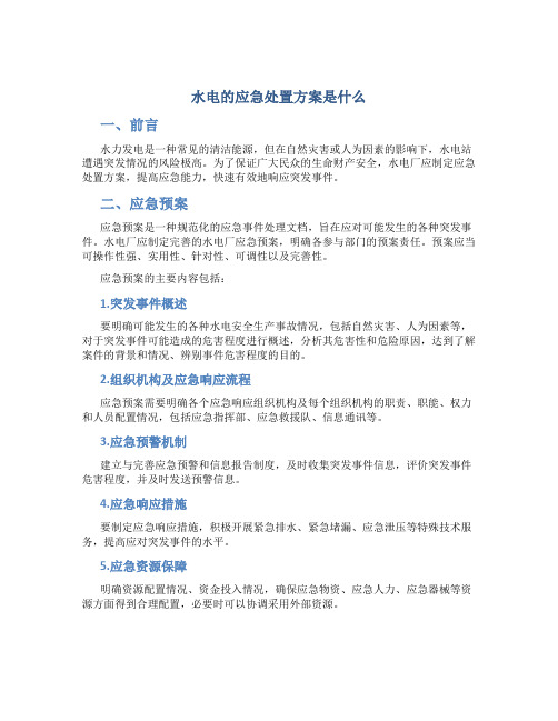 水电的应急处置方案是什么